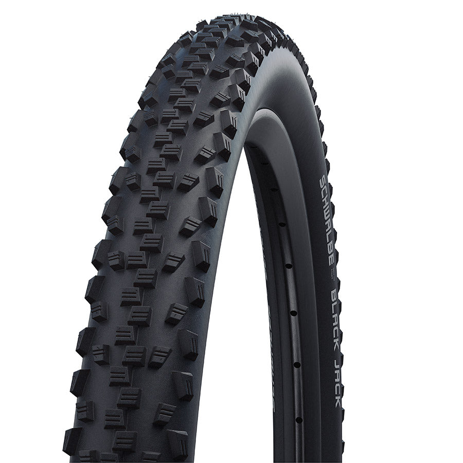 Schwalbe, Black Jack, Tire, 26&