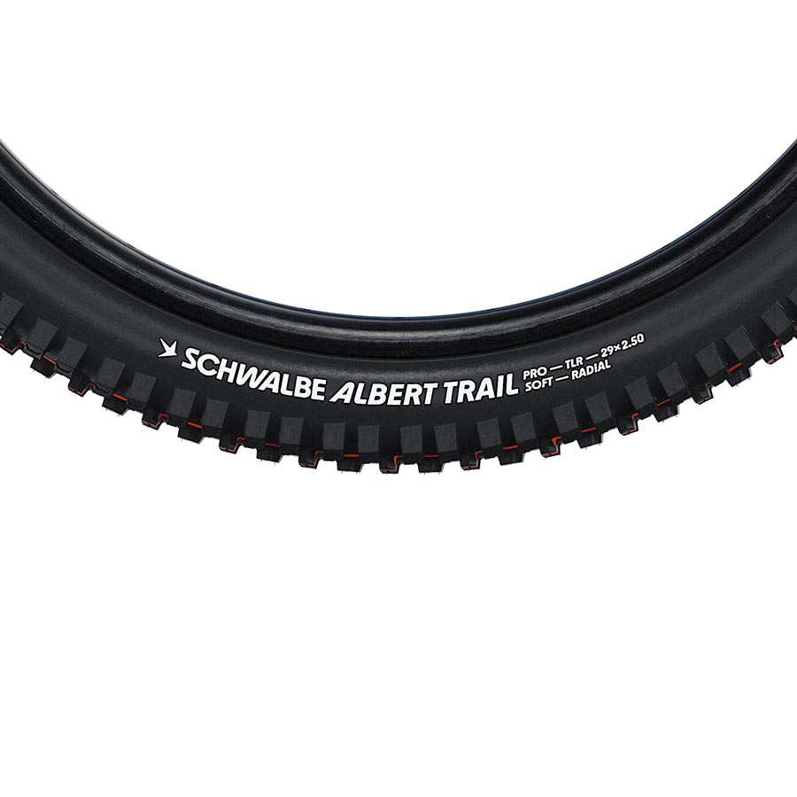 Schwalbe - Albert Gravity Pro