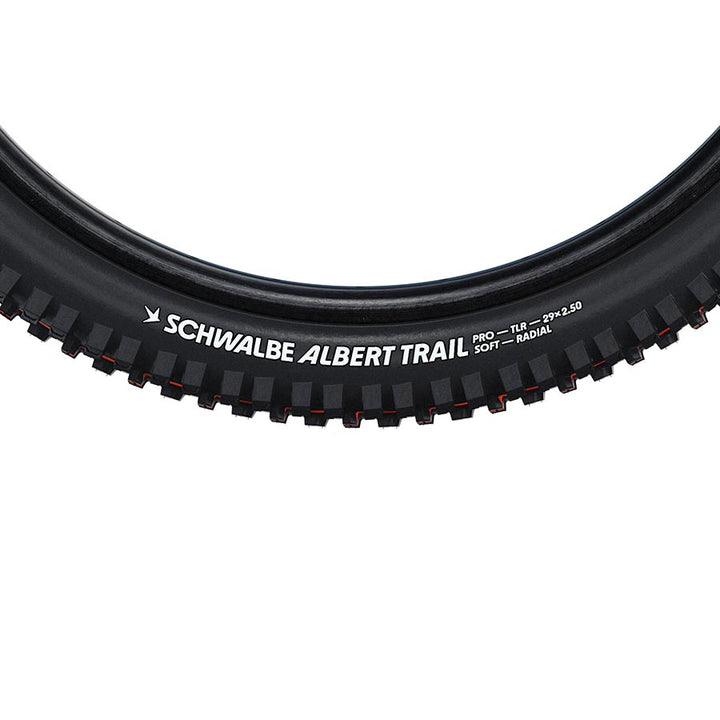 Schwalbe - Albert Gravity Pro
