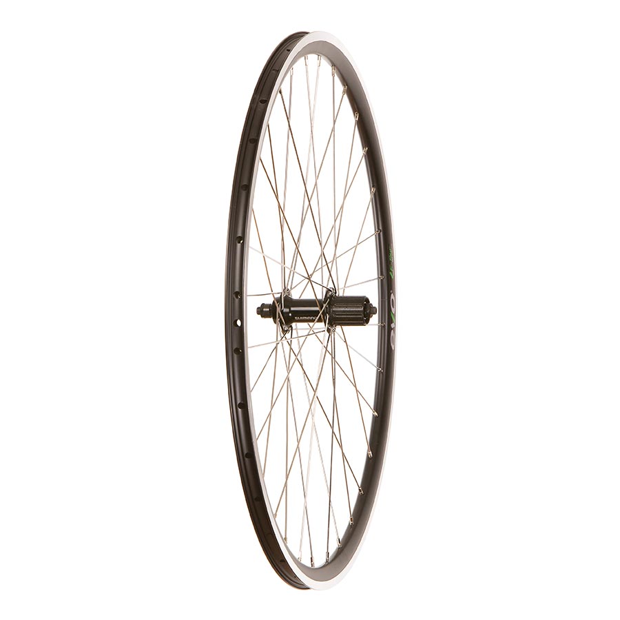 Wheel Shop - 4PK Evo Tour16
