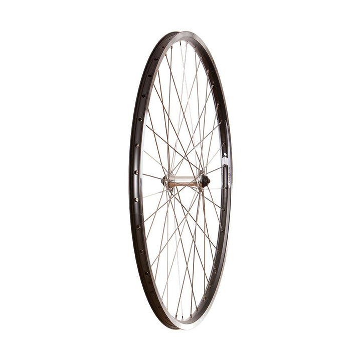 Wheel Shop - 4PK Evo Tour19
