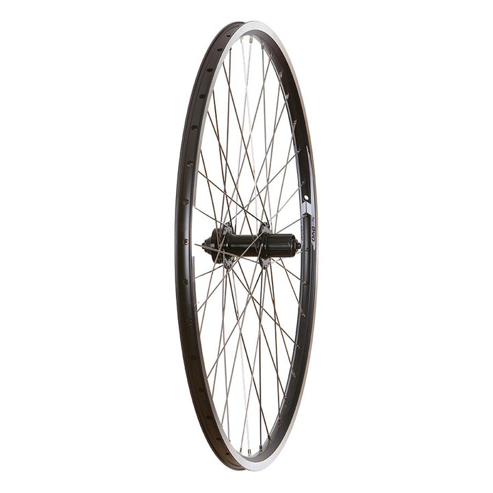 Wheel Shop - 4PK Evo Tour19