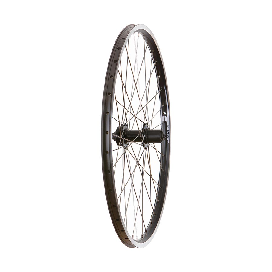 Wheel Shop - 4PK Evo Tour19