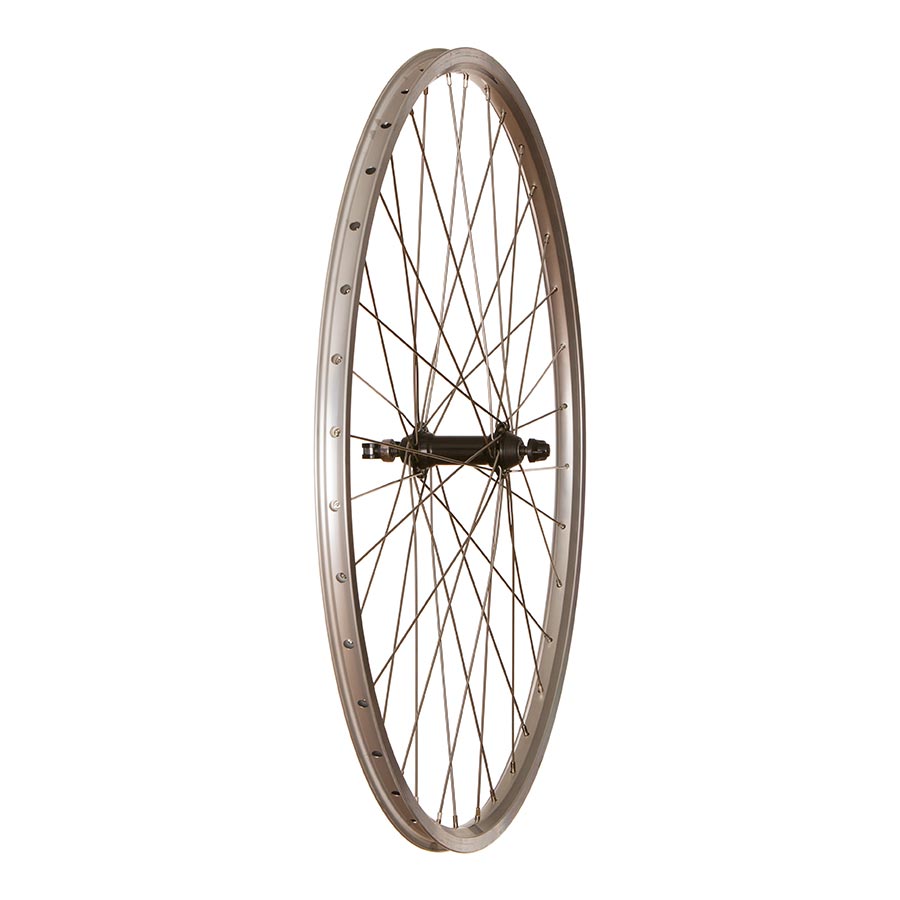Wheel Shop - 4PK Evo Tour19