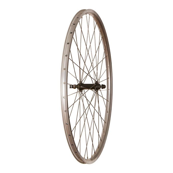 Wheel Shop - 4PK Evo Tour19