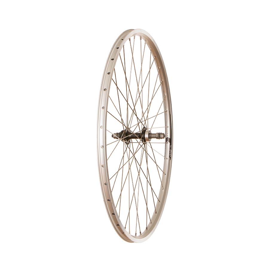 Wheel Shop - 4PK Evo Tour19