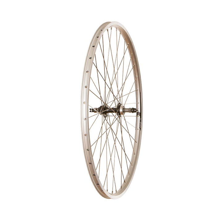 Wheel Shop - 4PK Evo Tour19