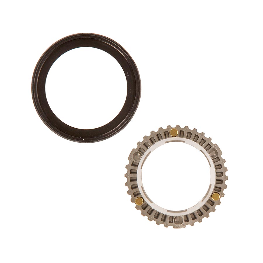 Zipp - Cognition NSW Clutch Assembly